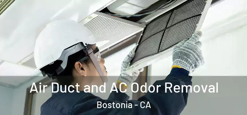 Air Duct and AC Odor Removal Bostonia - CA