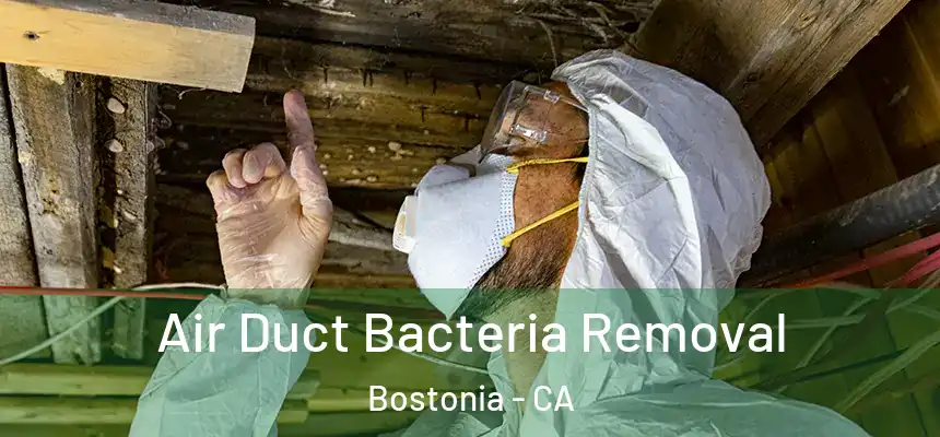 Air Duct Bacteria Removal Bostonia - CA