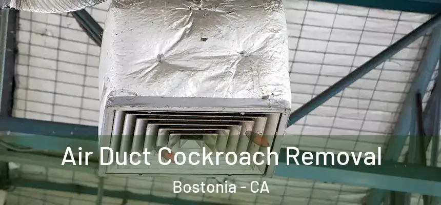  Air Duct Cockroach Removal Bostonia - CA