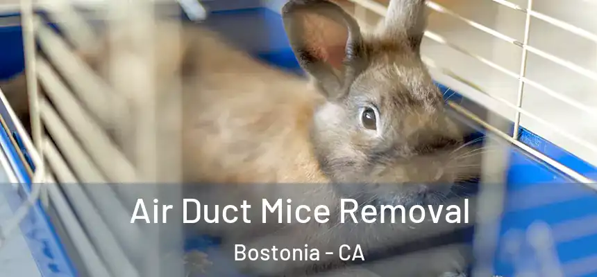  Air Duct Mice Removal Bostonia - CA