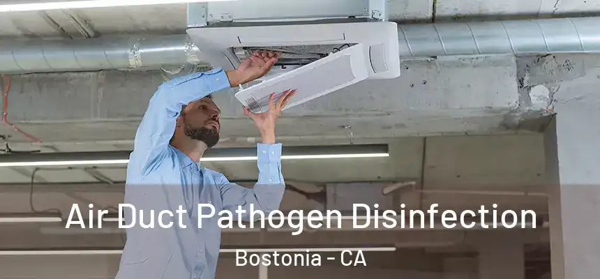 Air Duct Pathogen Disinfection Bostonia - CA
