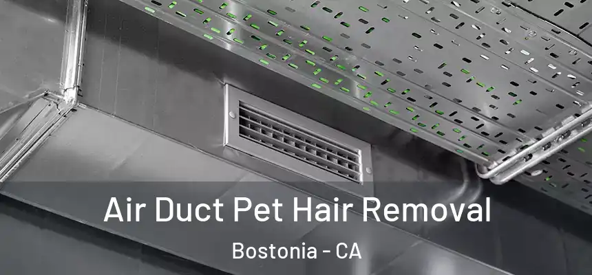 Air Duct Pet Hair Removal Bostonia - CA