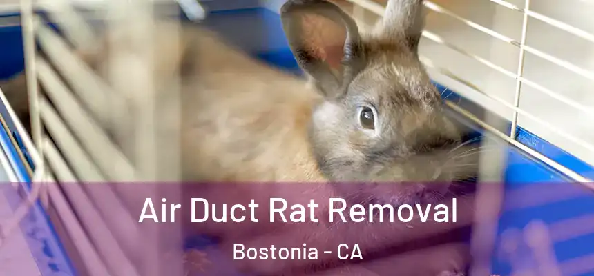 Air Duct Rat Removal Bostonia - CA
