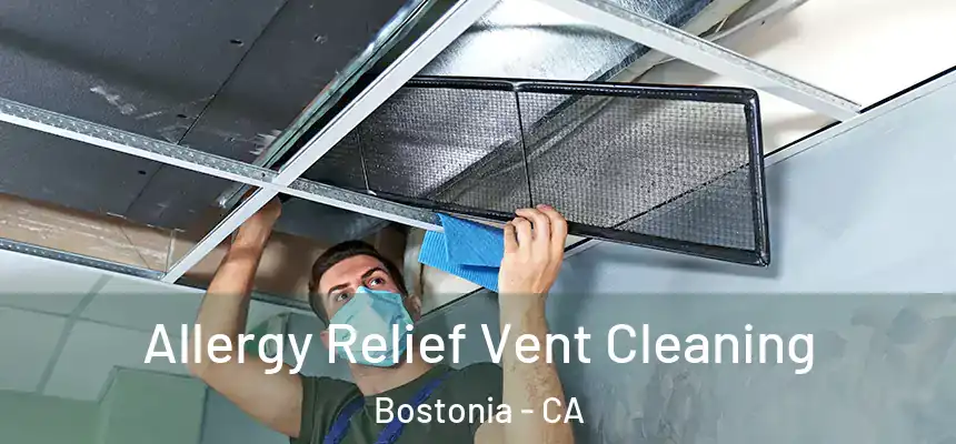  Allergy Relief Vent Cleaning Bostonia - CA