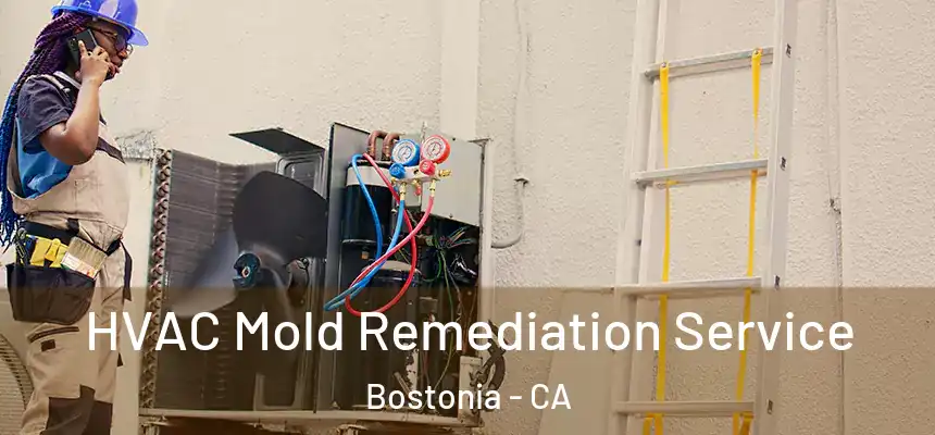 HVAC Mold Remediation Service Bostonia - CA