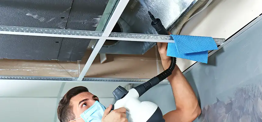 Our Air Duct Rodent Removal Services in Bostonia, CA