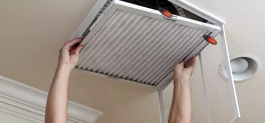 Our Insect Removal from Air Ducts Services in Bostonia, CA