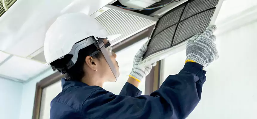 Our Mold & Mildew Removal from Air Ducts Services in Bostonia, CA