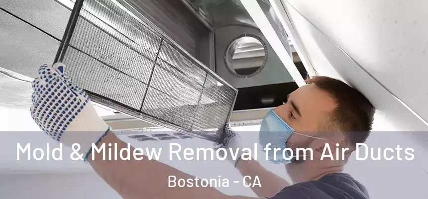  Mold & Mildew Removal from Air Ducts Bostonia - CA