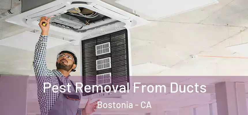  Pest Removal From Ducts Bostonia - CA