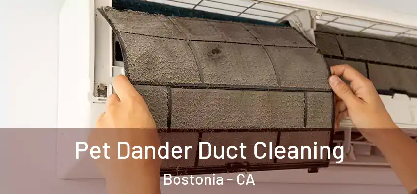  Pet Dander Duct Cleaning Bostonia - CA