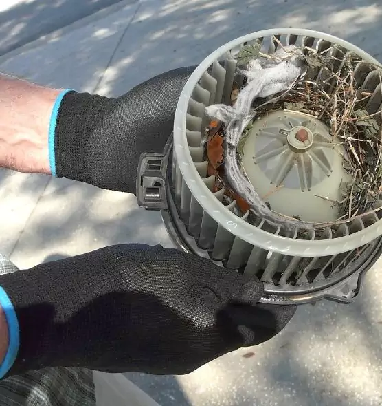 About Air Duct Mice Removal in Bostonia, CA