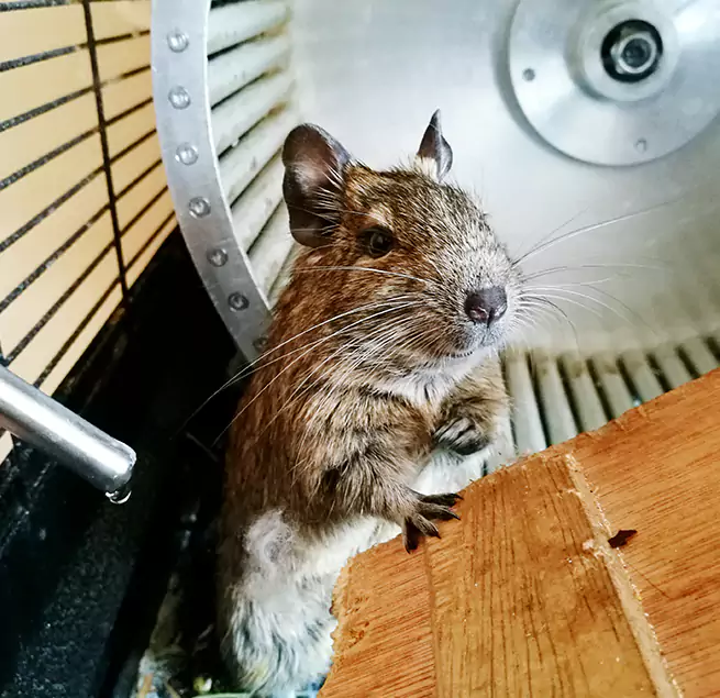 Why Homeowners & Businesses Trust Us Bostonia, CA