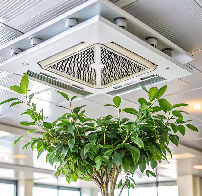 Why Homeowners & Businesses Trust Us in Bostonia, CA?