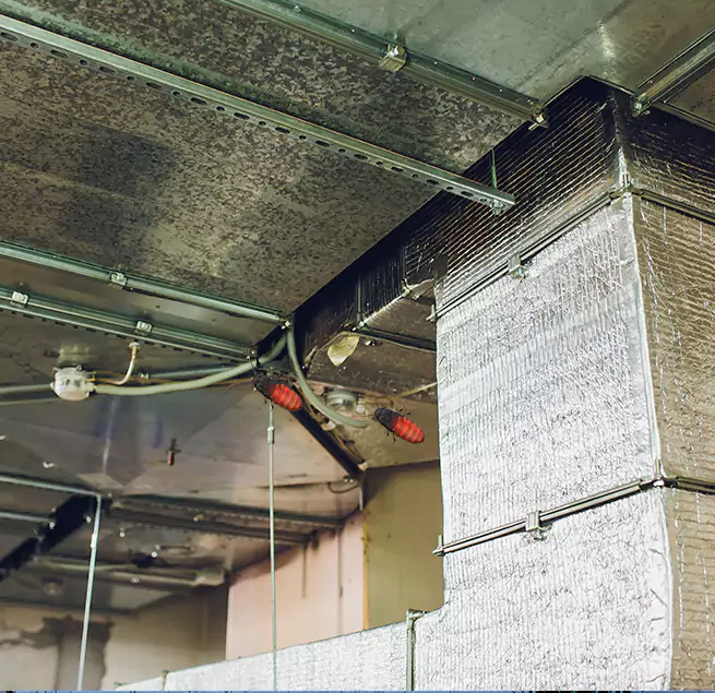 Why Homeowners & Businesses Trust Us Bostonia, CA?