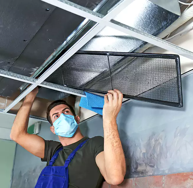 Why Homeowners Businesses Trust Us in Bostonia, CA